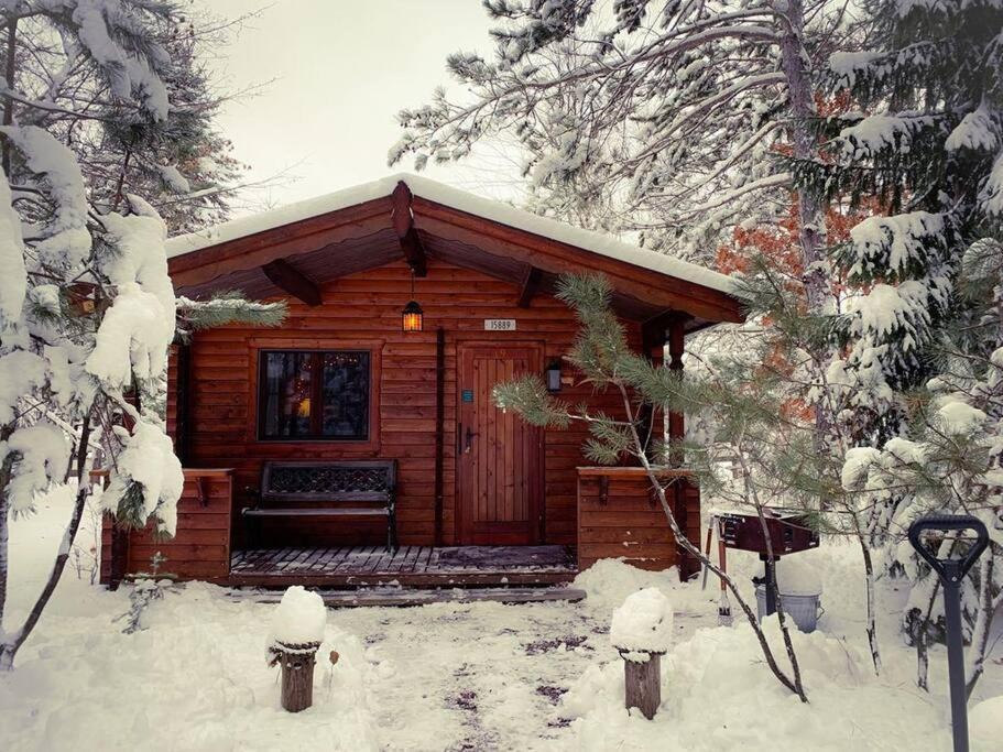 Honeybear Hideaway Cabin Hayward Zewnętrze zdjęcie