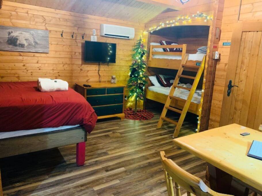 Honeybear Hideaway Cabin Hayward Zewnętrze zdjęcie