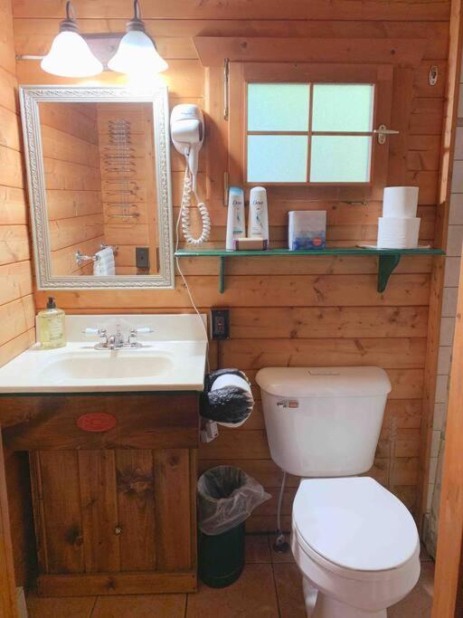 Honeybear Hideaway Cabin Hayward Zewnętrze zdjęcie