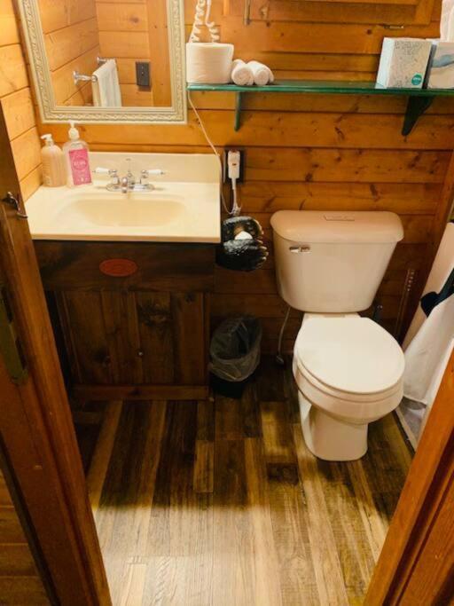 Honeybear Hideaway Cabin Hayward Zewnętrze zdjęcie